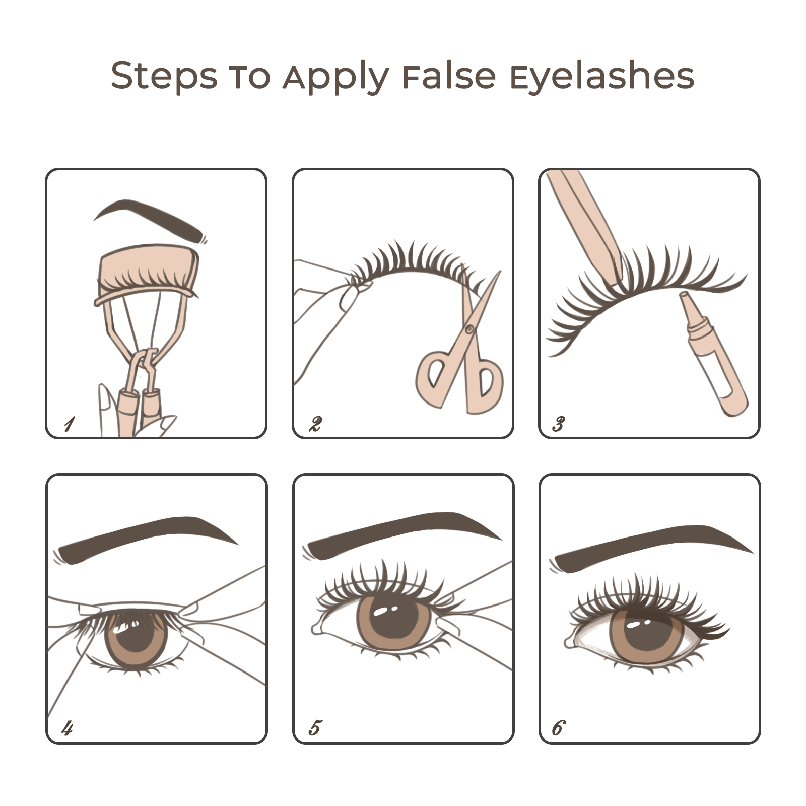 steps to apply lashes